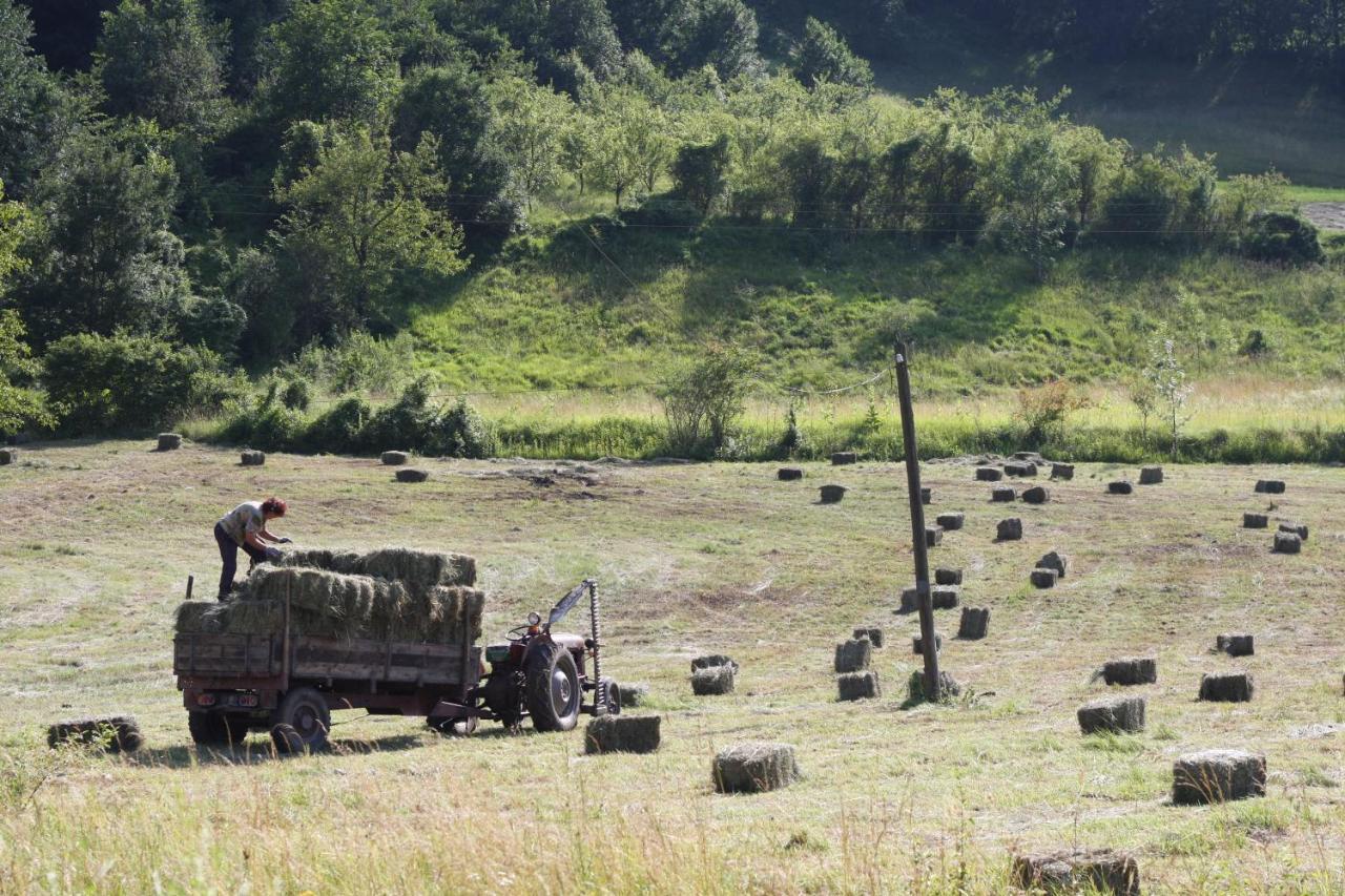 Ethno Village Bogut Bogutovac Zewnętrze zdjęcie